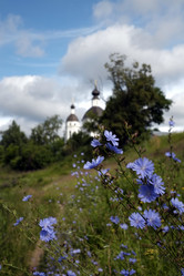 Similar image 8393020