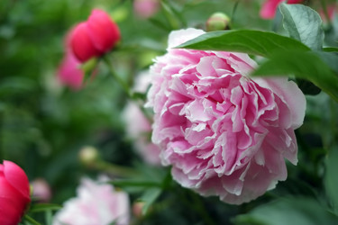 Similar image 8393022