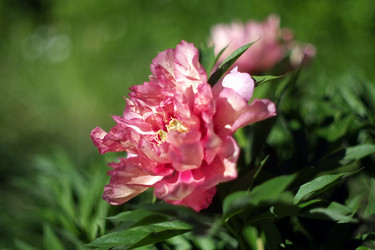 Similar image 8393027