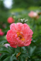 Similar image 8393028