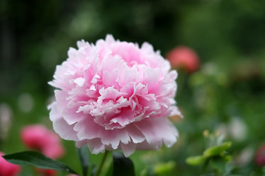 Similar image 8393030