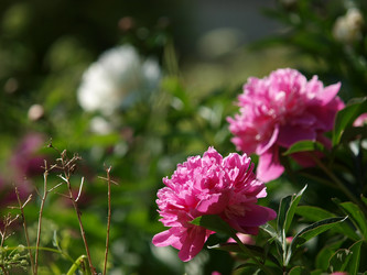 Similar image 8393032