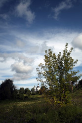 Similar image 8393033