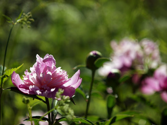 Similar image 8393034