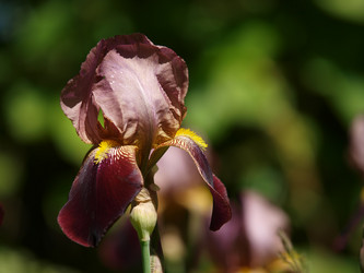 Similar image 8393035