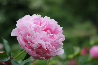 Similar image 8393039