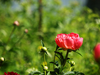 Similar image 8393042