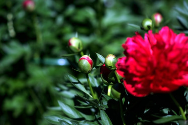 Similar image 8393043