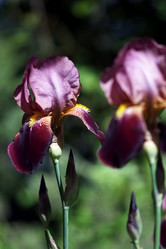 Similar image 8393044