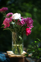 Similar image 8393045