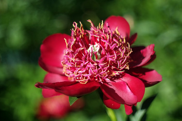 Similar image 8393046