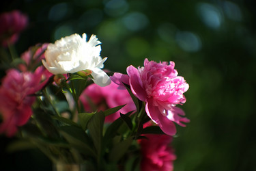 Similar image 8393047