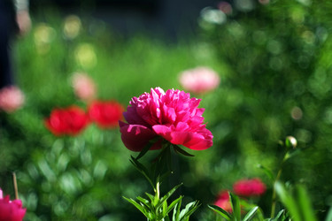 Similar image 8393048