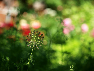 Similar image 8393049