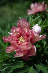 Similar image 8393050