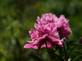 Similar image 8393053