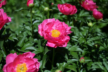 Similar image 8393054