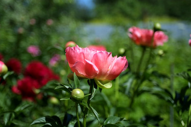 Similar image 8393055