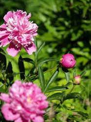 Similar image 8393056