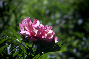 Similar image 8393058