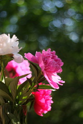 Similar image 8393059