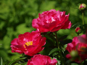 Similar image 8393067