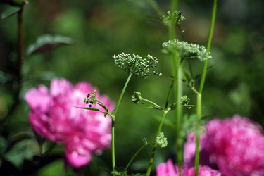 Similar image 8393068