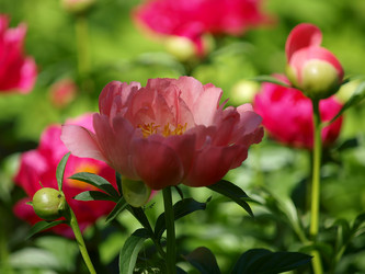 Similar image 8393069