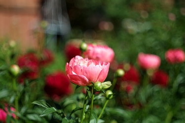 Similar image 8393070