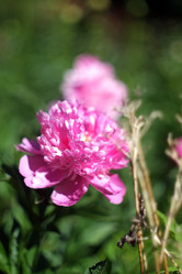 Similar image 8393071