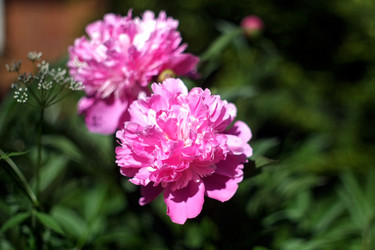 Similar image 8393072