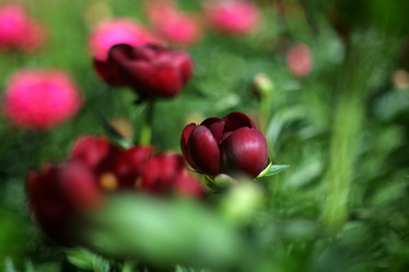 Similar image 8393073