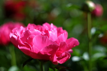 Similar image 8393074