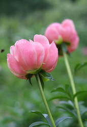 Similar image 8393075