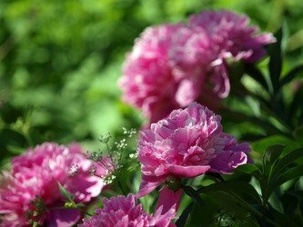 Similar image 8393076