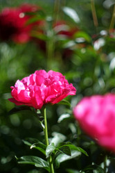 Similar image 8393077