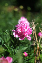 Similar image 8393079