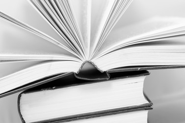 Similar image 8393183