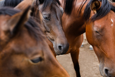 Similar image 8393216