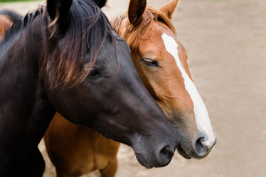 Similar image 8393217