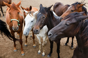 Similar image 8393219