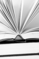 Similar image 8393336