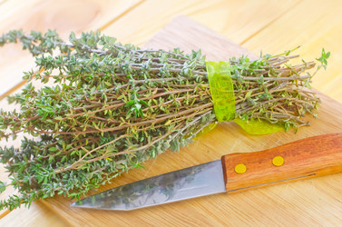 Similar image 8393529