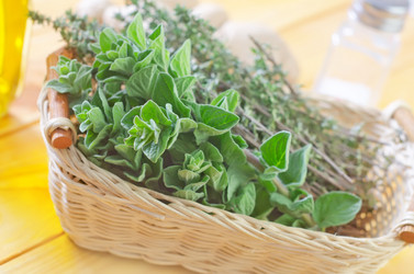 Similar image 8393531