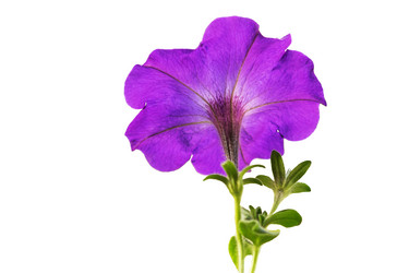 Similar image 8393994