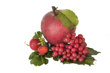 Similar image 8393995