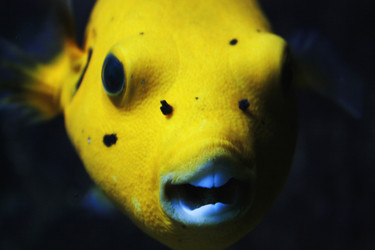 Similar image 8393997