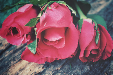 Similar image 8394000