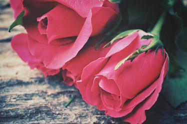 Similar image 8394001