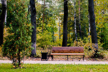 Similar image 8394019